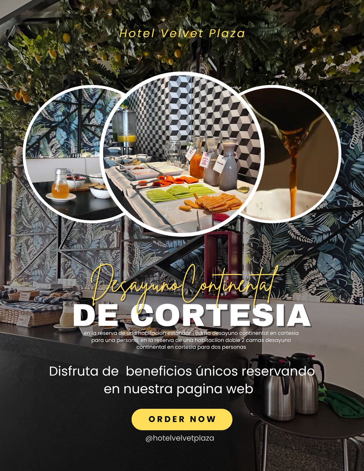 Promoción Hotel Velvet Plaza